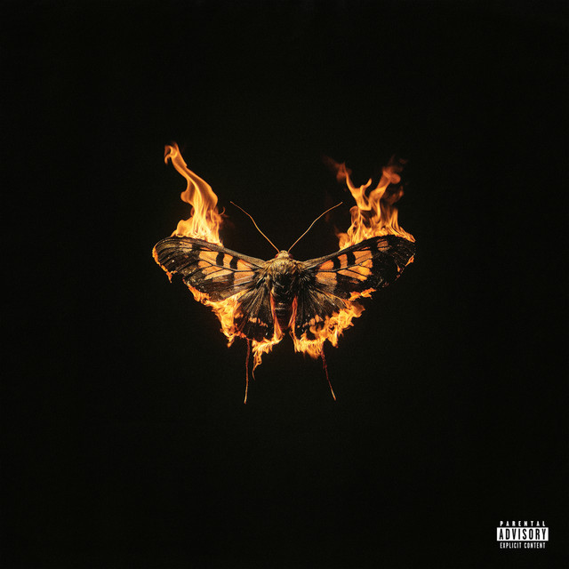 Drink Niet Meer album cover